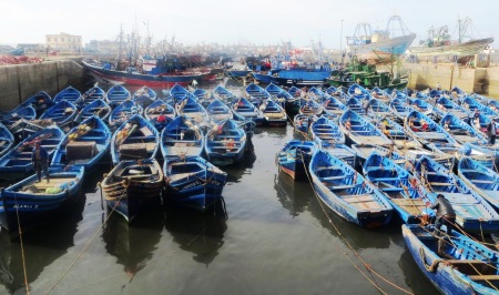 Essaouira Blue Boats